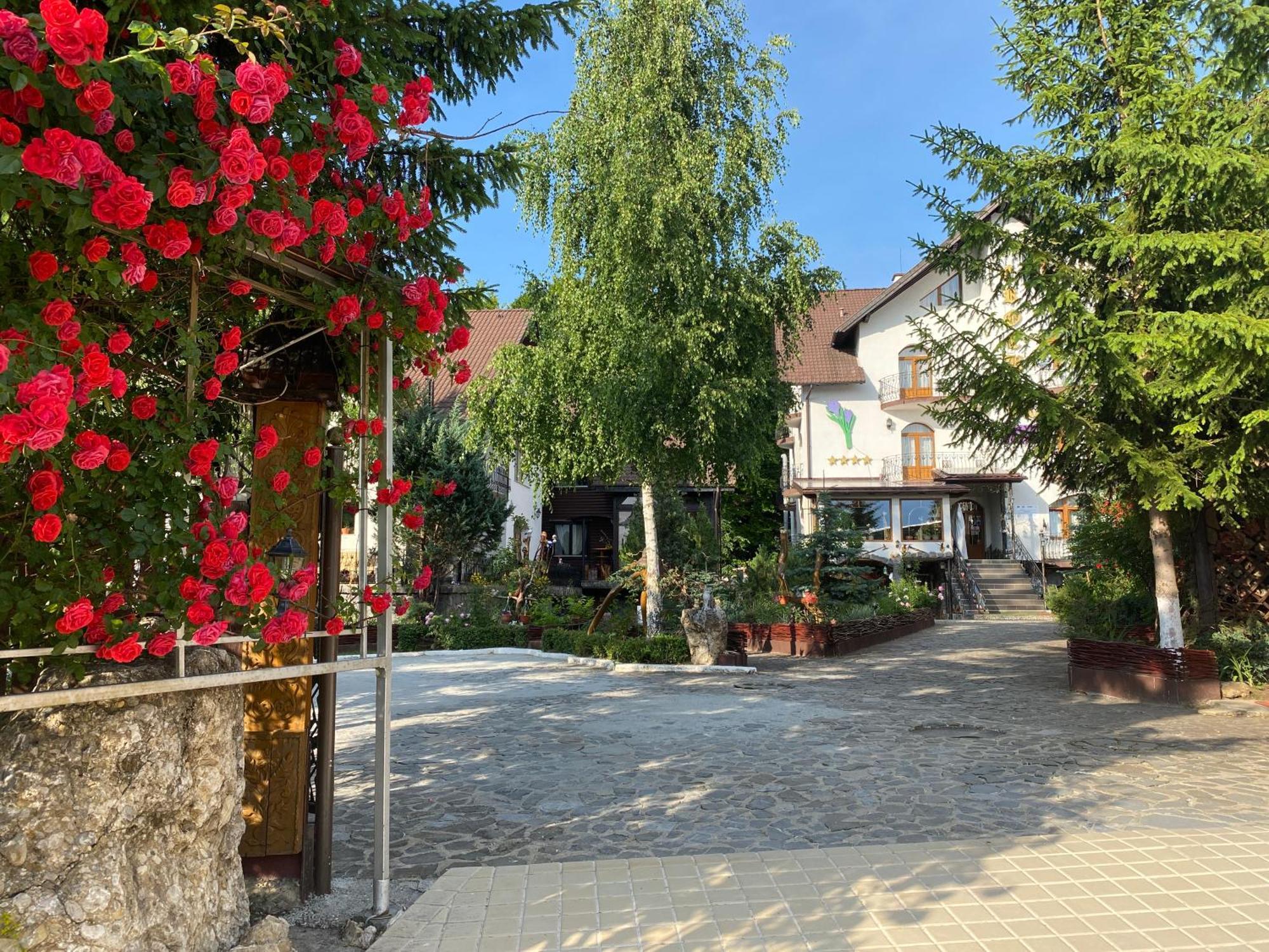 Pensiunea Crocus - Sauna & Billiard Poiana Brasov Exterior foto