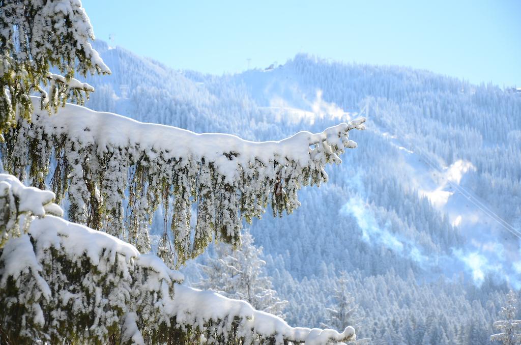 Pensiunea Crocus - Sauna & Billiard Poiana Brasov Exterior foto